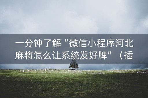 一分钟了解“微信小程序河北麻将怎么让系统发好牌”（插件可信吗)