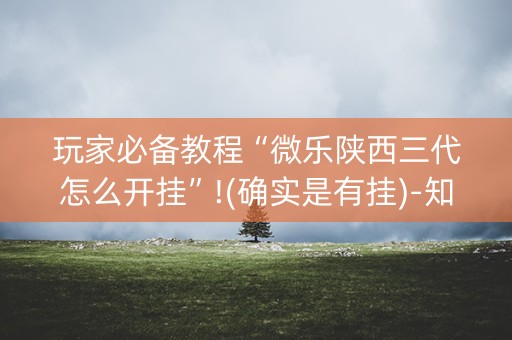 玩家必备教程“微乐陕西三代怎么开挂”!(确实是有挂)-知乎