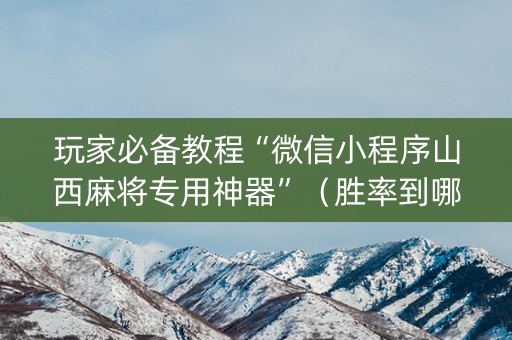 玩家必备教程“微信小程序山西麻将专用神器”（胜率到哪调)