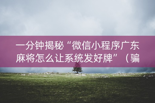 一分钟揭秘“微信小程序广东麻将怎么让系统发好牌”（骗局大揭秘)