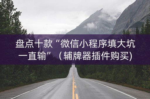 盘点十款“微信小程序填大坑一直输”（辅牌器插件购买)