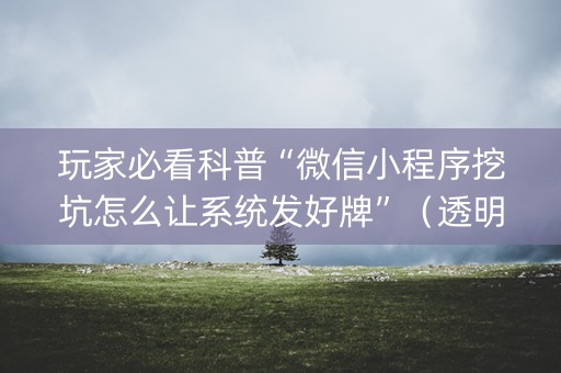 玩家必看科普“微信小程序挖坑怎么让系统发好牌”（透明挂辅助器)