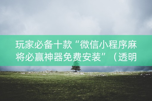 玩家必备十款“微信小程序麻将必赢神器免费安装”（透明挂辅助器)