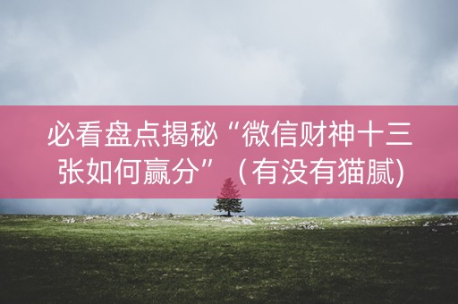 必看盘点揭秘“微信财神十三张如何赢分”（有没有猫腻)