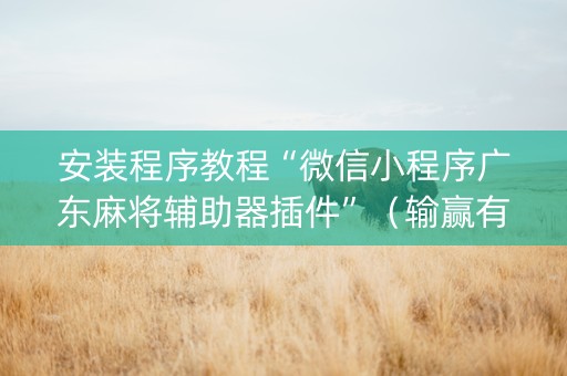 安装程序教程“微信小程序广东麻将辅助器插件”（输赢有什么规律)