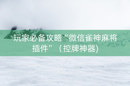 玩家必备攻略“微信雀神麻将插件”（控牌神器)