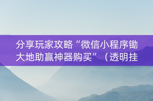 分享玩家攻略“微信小程序锄大地助赢神器购买”（透明挂辅助器)