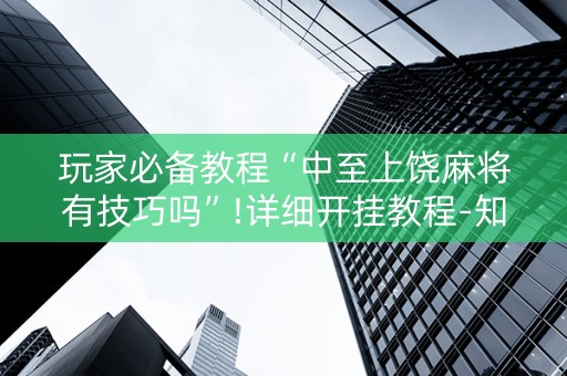 玩家必备教程“中至上饶麻将有技巧吗”!详细开挂教程-知乎