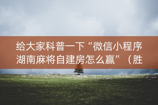 给大家科普一下“微信小程序湖南麻将自建房怎么赢”（胜率到哪调)