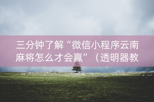 三分钟了解“微信小程序云南麻将怎么才会赢”（透明器教程)