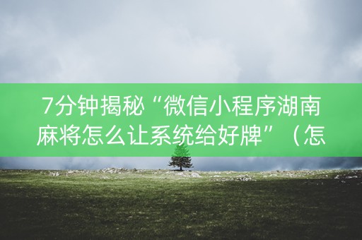 7分钟揭秘“微信小程序湖南麻将怎么让系统给好牌”（怎么能得到好牌)