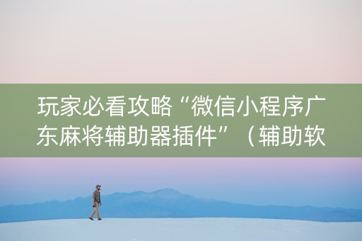 玩家必看攻略“微信小程序广东麻将辅助器插件”（辅助软件)