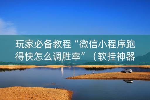 玩家必备教程“微信小程序跑得快怎么调胜率”（软挂神器)