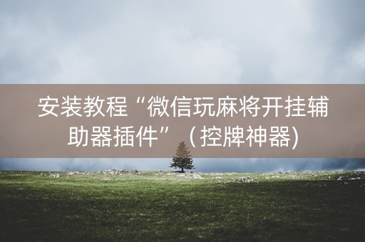 安装教程“微信玩麻将开挂辅助器插件”（控牌神器)