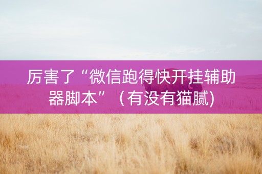 厉害了“微信跑得快开挂辅助器脚本”（有没有猫腻)