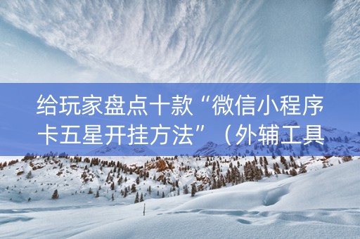 给玩家盘点十款“微信小程序卡五星开挂方法”（外辅工具)