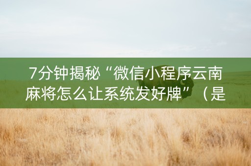 7分钟揭秘“微信小程序云南麻将怎么让系统发好牌”（是否能开挂)