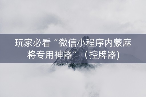 玩家必看“微信小程序内蒙麻将专用神器”（控牌器)