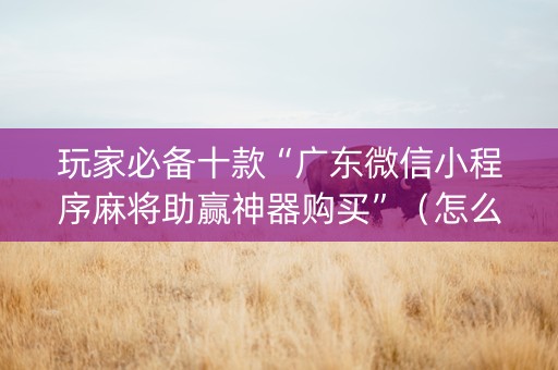 玩家必备十款“广东微信小程序麻将助赢神器购买”（怎么设置能有好牌)