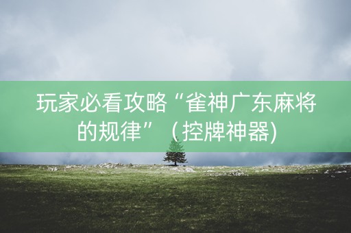 玩家必看攻略“雀神广东麻将的规律”（控牌神器)