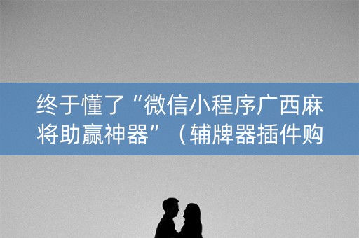 终于懂了“微信小程序广西麻将助赢神器”（辅牌器插件购买)