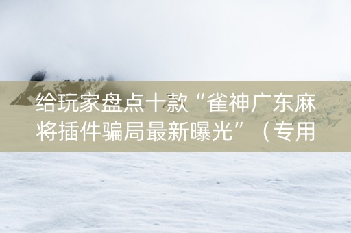 给玩家盘点十款“雀神广东麻将插件骗局最新曝光”（专用神器)
