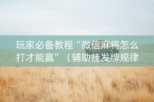 玩家必备教程“微信麻将怎么打才能赢”（辅助挂发牌规律)