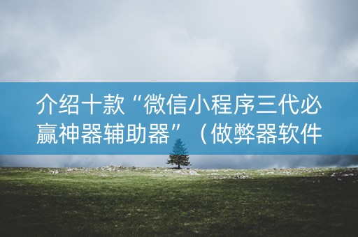 介绍十款“微信小程序三代必赢神器辅助器”（做弊器软件下载)