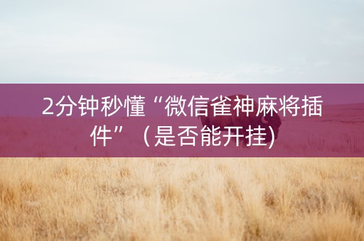 2分钟秒懂“微信雀神麻将插件”（是否能开挂)