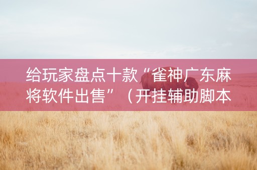 给玩家盘点十款“雀神广东麻将软件出售”（开挂辅助脚本)