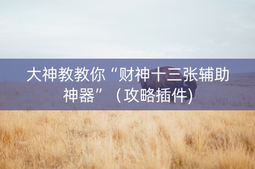 大神教教你“财神十三张辅助神器”（攻略插件)