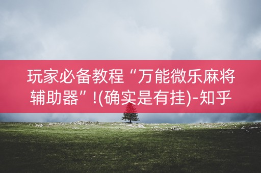 玩家必备教程“万能微乐麻将辅助器”!(确实是有挂)-知乎