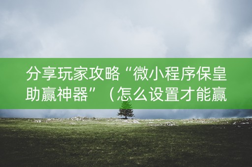 分享玩家攻略“微小程序保皇助赢神器”（怎么设置才能赢)