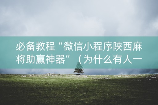 必备教程“微信小程序陕西麻将助赢神器”（为什么有人一直赢)
