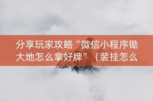 分享玩家攻略“微信小程序锄大地怎么拿好牌”（装挂怎么安装)