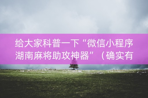 给大家科普一下“微信小程序湖南麻将助攻神器”（确实有插件吗)