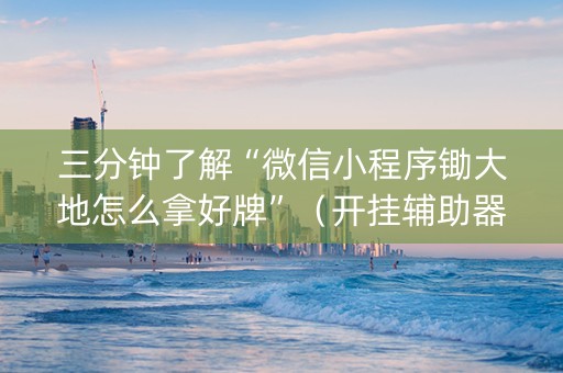 三分钟了解“微信小程序锄大地怎么拿好牌”（开挂辅助器脚本)