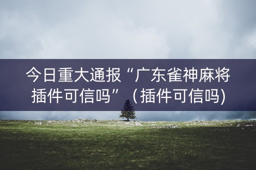 今日重大通报“广东雀神麻将插件可信吗”（插件可信吗)