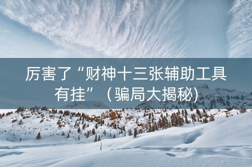 厉害了“财神十三张辅助工具有挂”（骗局大揭秘)