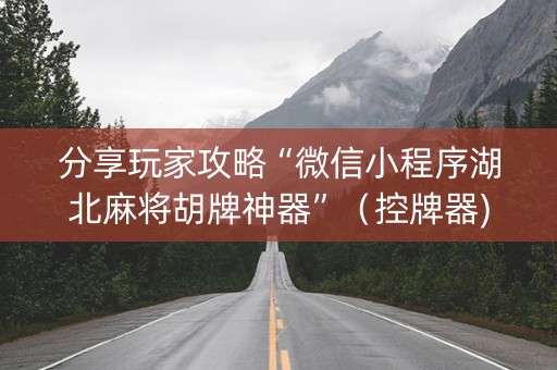 分享玩家攻略“微信小程序湖北麻将胡牌神器”（控牌器)