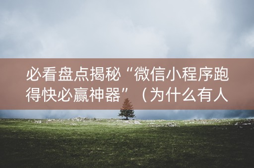 必看盘点揭秘“微信小程序跑得快必赢神器”（为什么有人一直赢)
