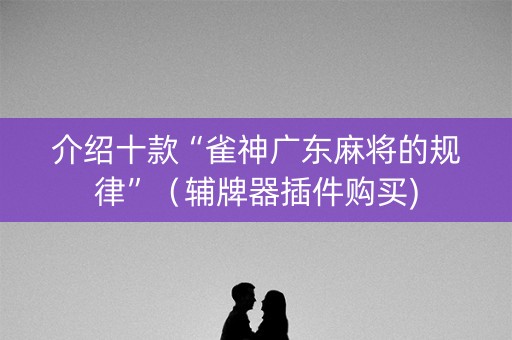 介绍十款“雀神广东麻将的规律”（辅牌器插件购买)