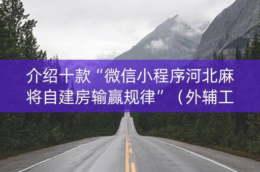 介绍十款“微信小程序河北麻将自建房输赢规律”（外辅工具)