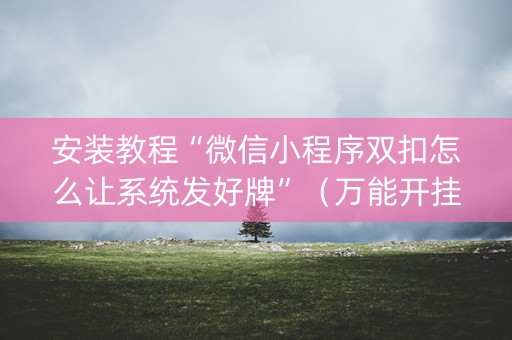 安装教程“微信小程序双扣怎么让系统发好牌”（万能开挂器)