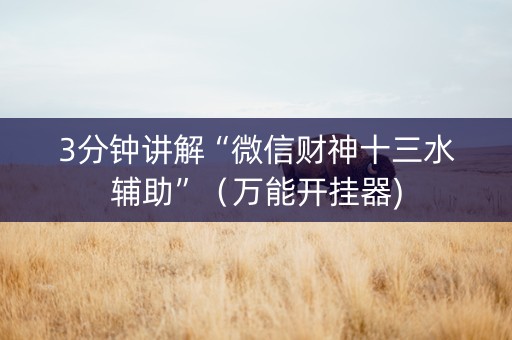 3分钟讲解“微信财神十三水辅助”（万能开挂器)