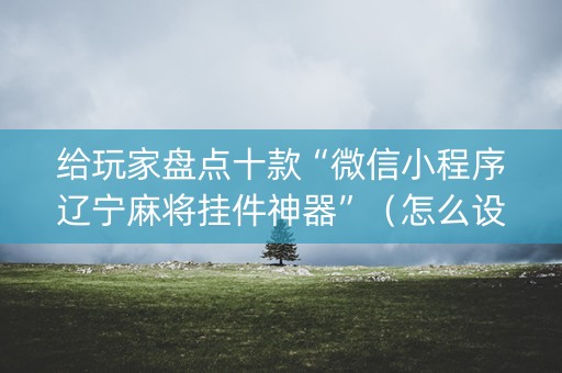 给玩家盘点十款“微信小程序辽宁麻将挂件神器”（怎么设置能有好牌)
