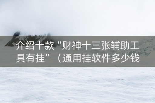 介绍十款“财神十三张辅助工具有挂”（通用挂软件多少钱)