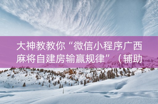 大神教教你“微信小程序广西麻将自建房输赢规律”（辅助器下载)