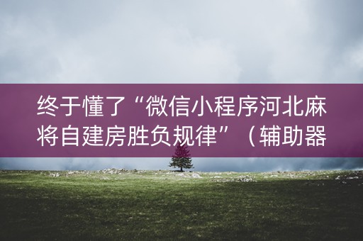 终于懂了“微信小程序河北麻将自建房胜负规律”（辅助器通用版)