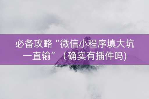 必备攻略“微信小程序填大坑一直输”（确实有插件吗)